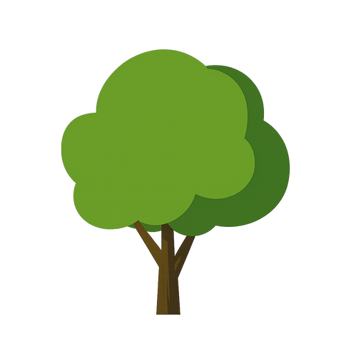 Baum